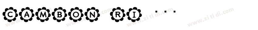 cambon ri字体转换